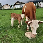 Gaestehaus Post Aigner Pensjonat