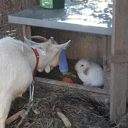 Post Aigner 3* Greifenburg