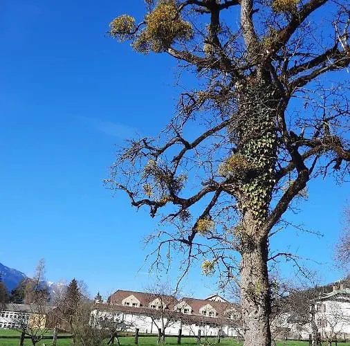 Gaestehaus Post Aigner Konukevi